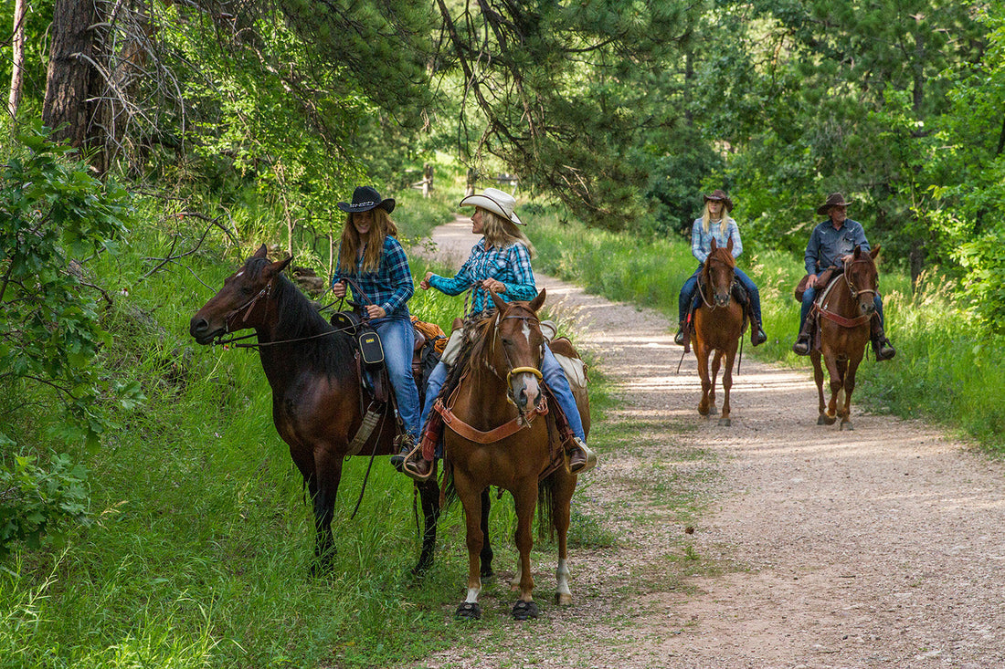 Why Trail Ride?