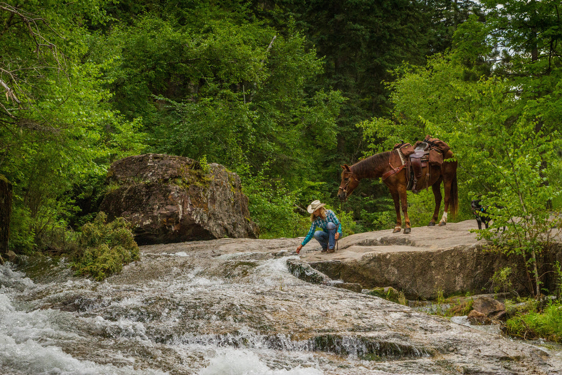 Horse Saddle Bags: Packing For Success