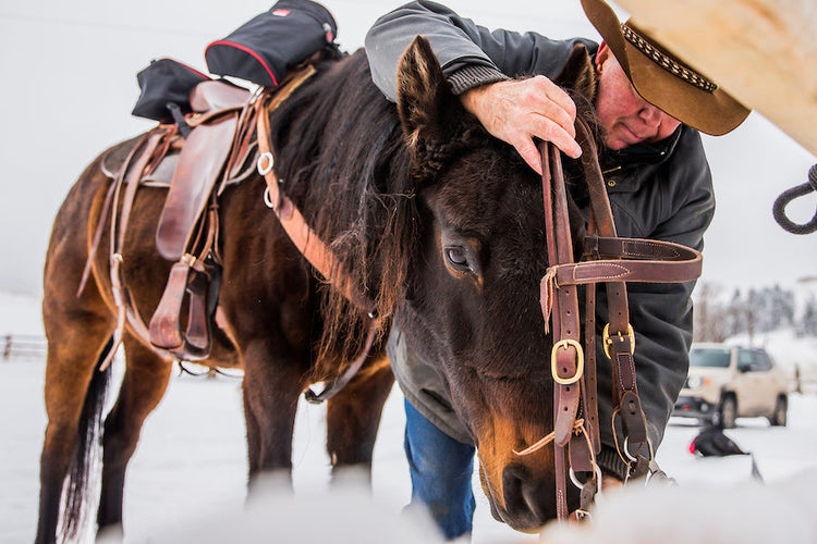 Bridles & Reins