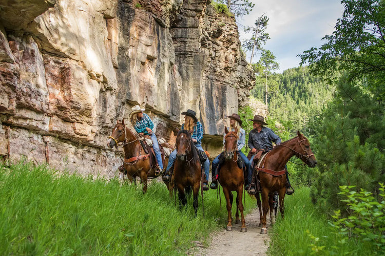 4 trail riders on horses stopped on a trail next to a rock cliff