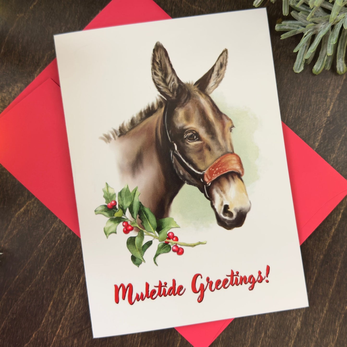 Mule Greeting Cards - Boxed Set of 12