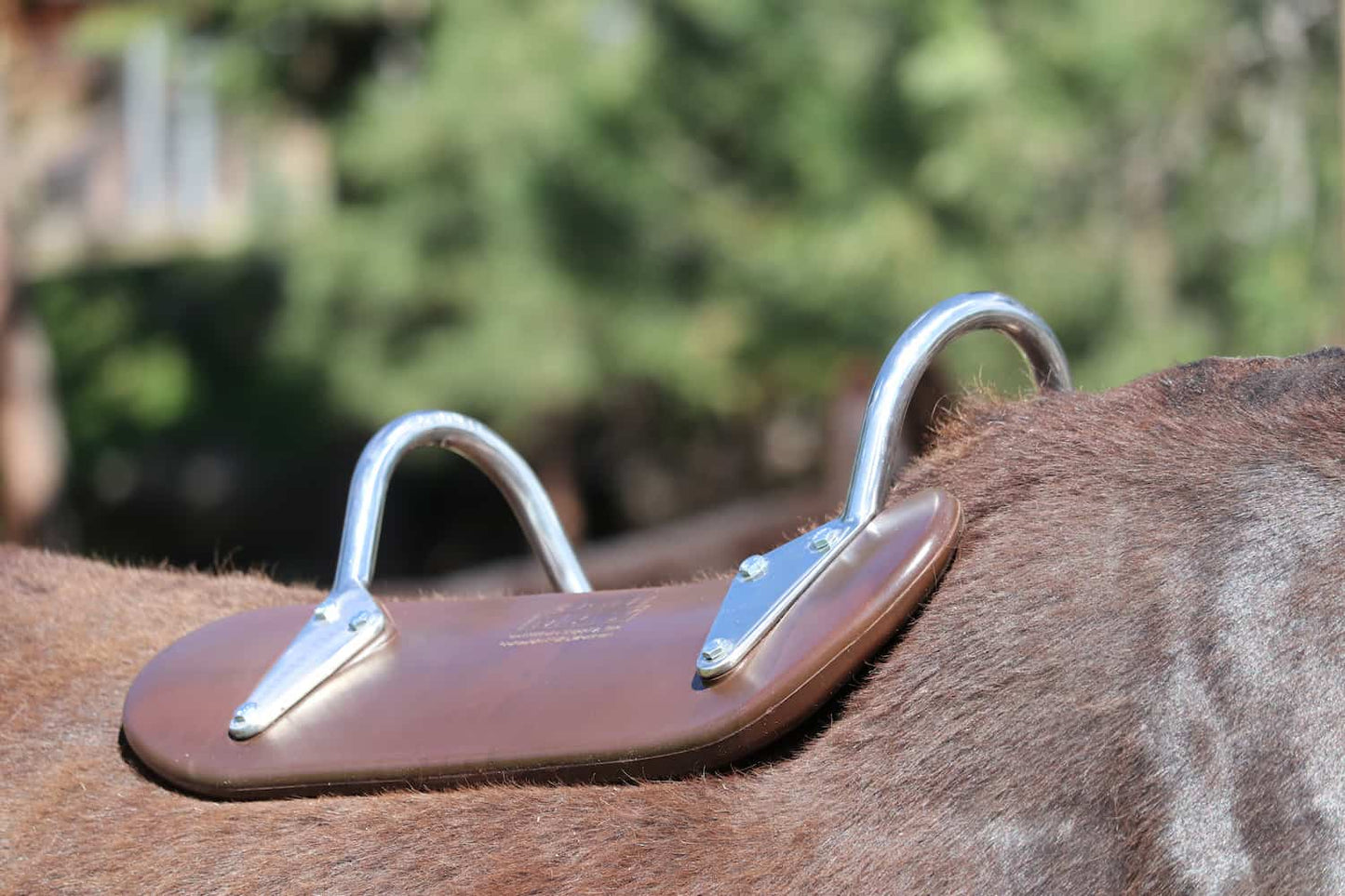 Closeup of TrailMax polymer Decker pack saddle tree on mule's back