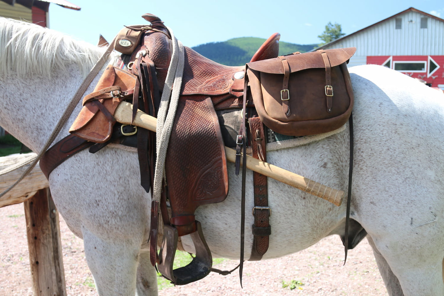 Closeup of axe sheath hanging on saddle on a white horse with barn in the background