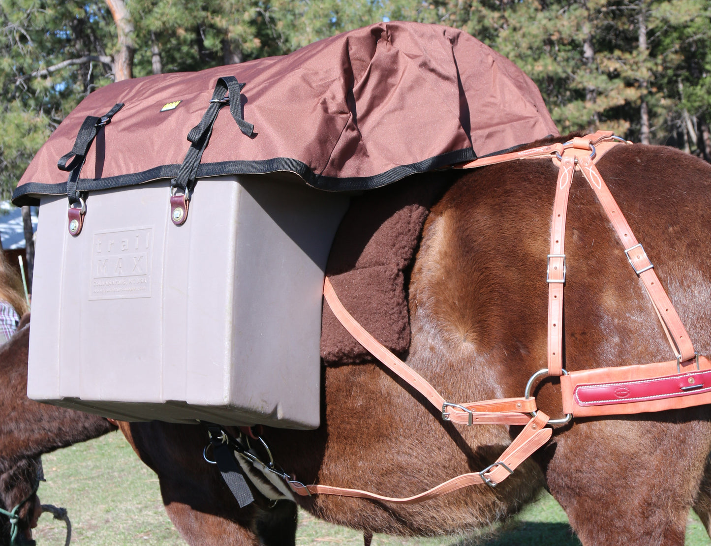 TrailMax Top Pack Rain Cover