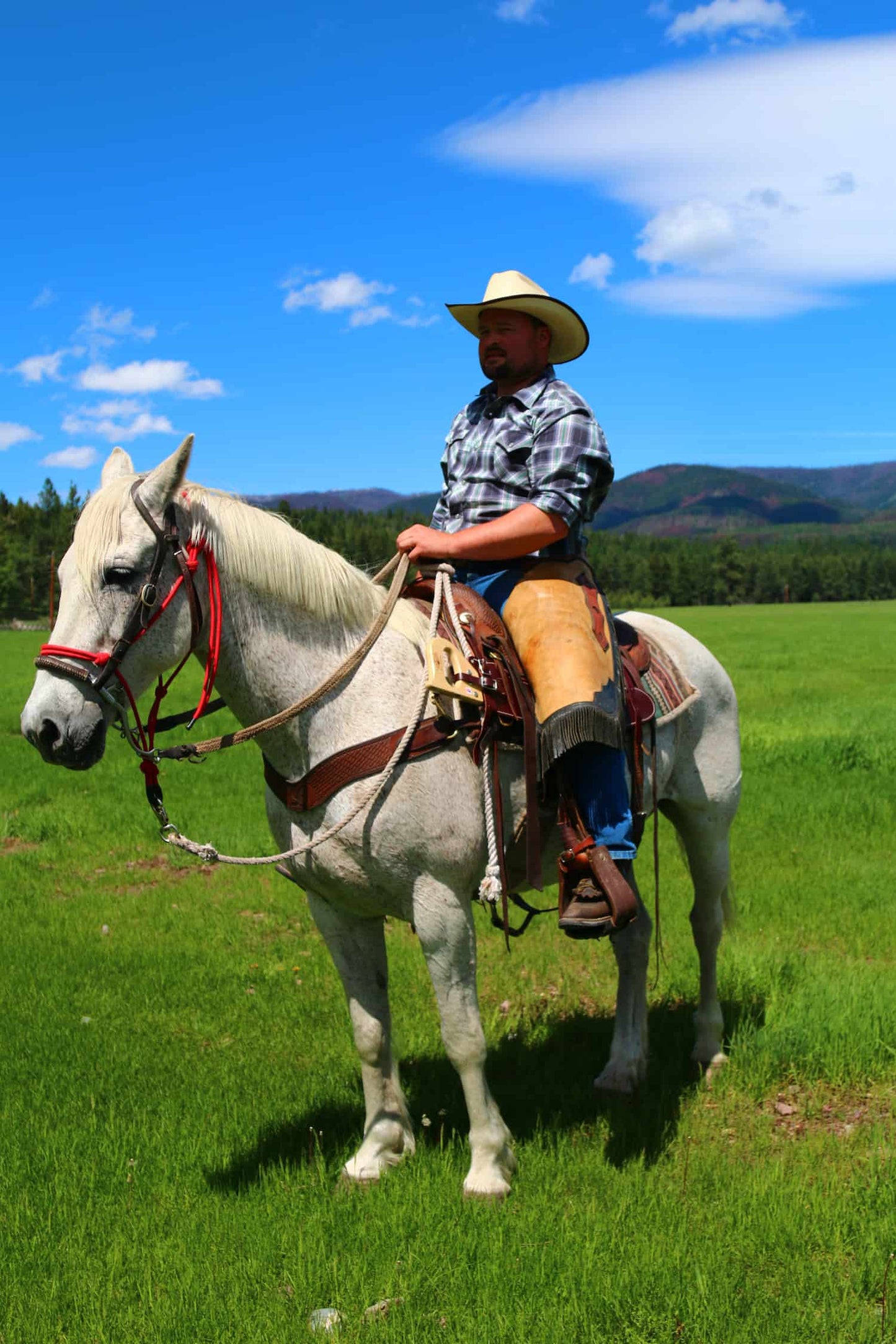 Man wearing chaps on white horse with trail saw attached to saddle