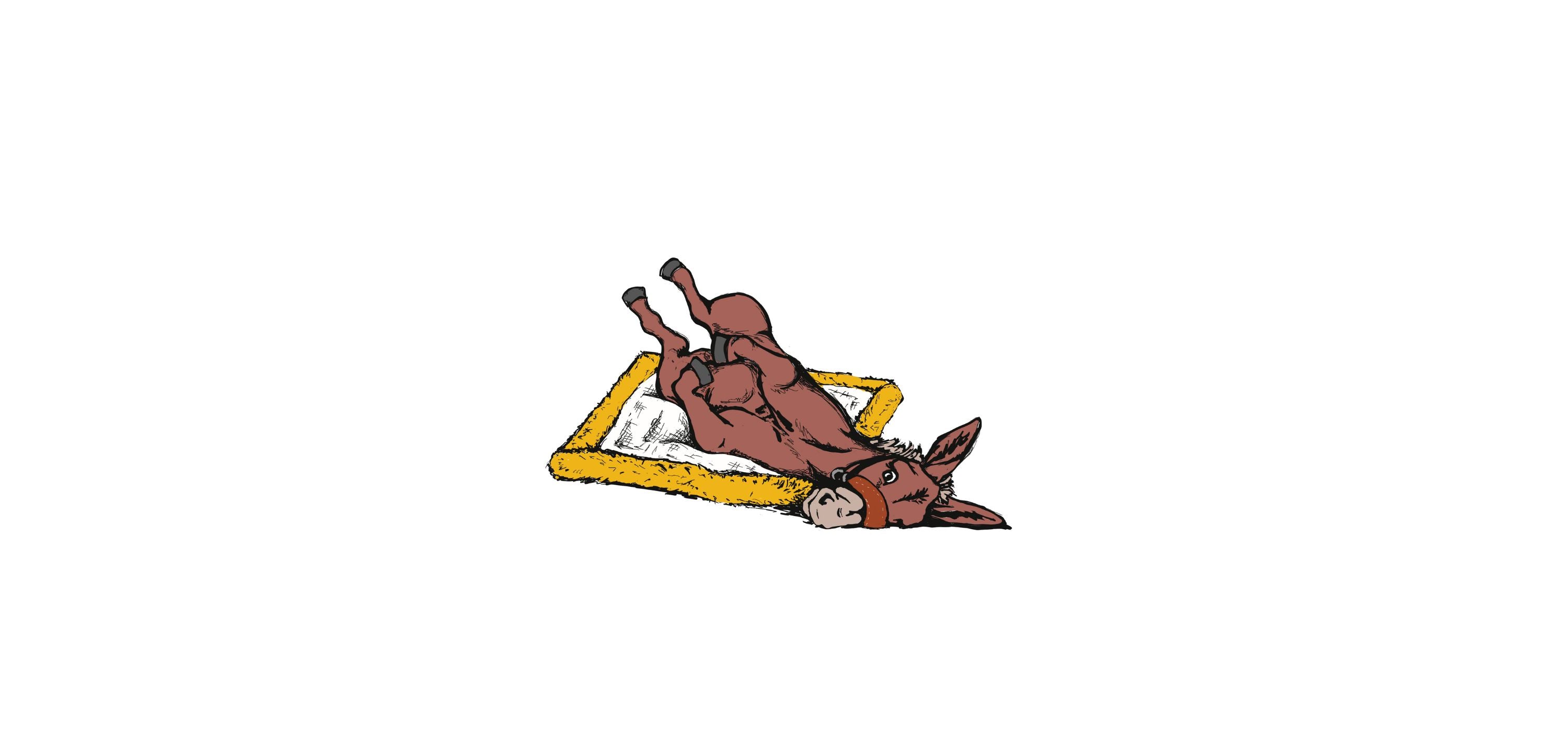 Outfitters Supply Mascot "Rosie the Mule" lying down on a pack saddle pad
