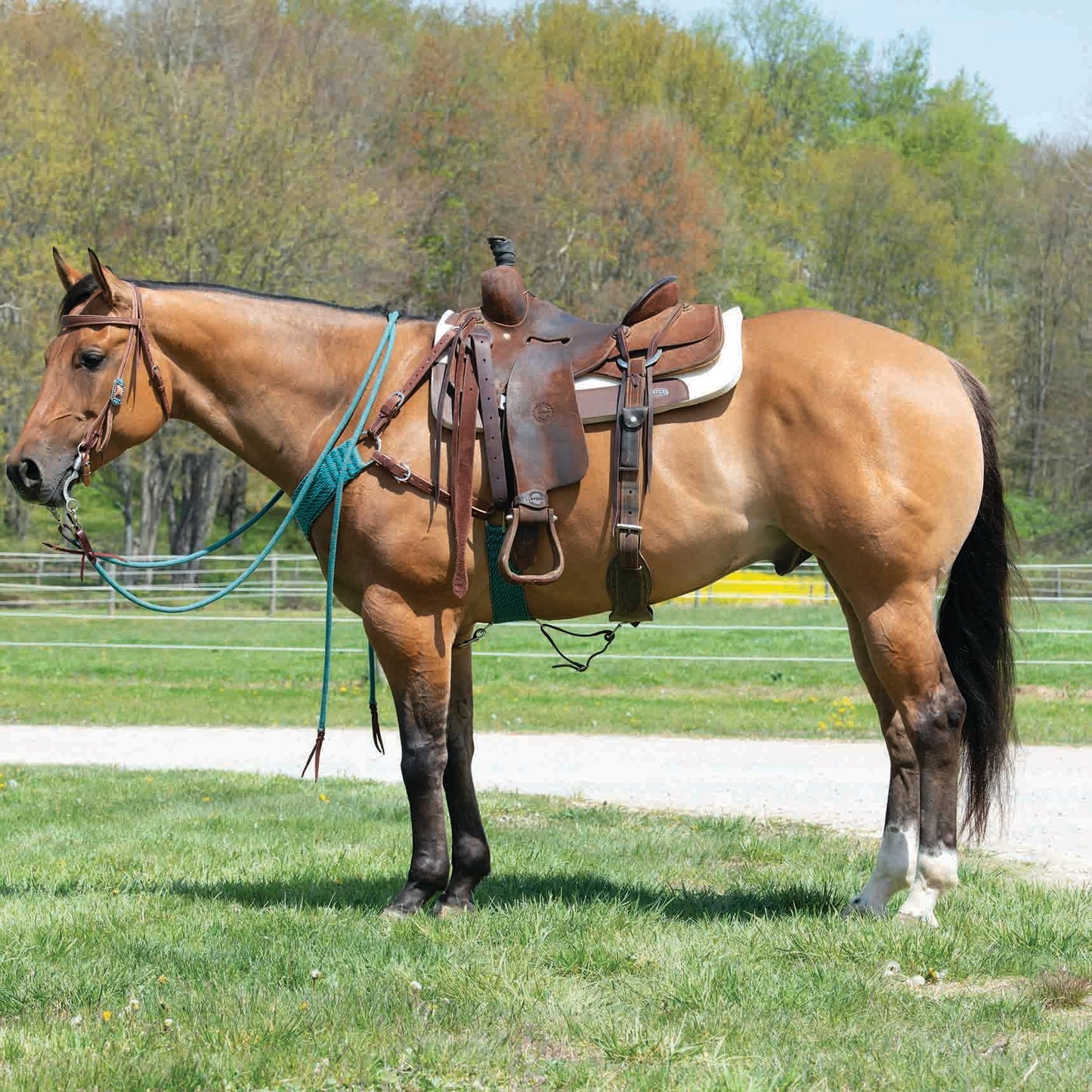 Ecoluxe Bamboo 27-Strand Straight Cinch (Multiple Sizes)