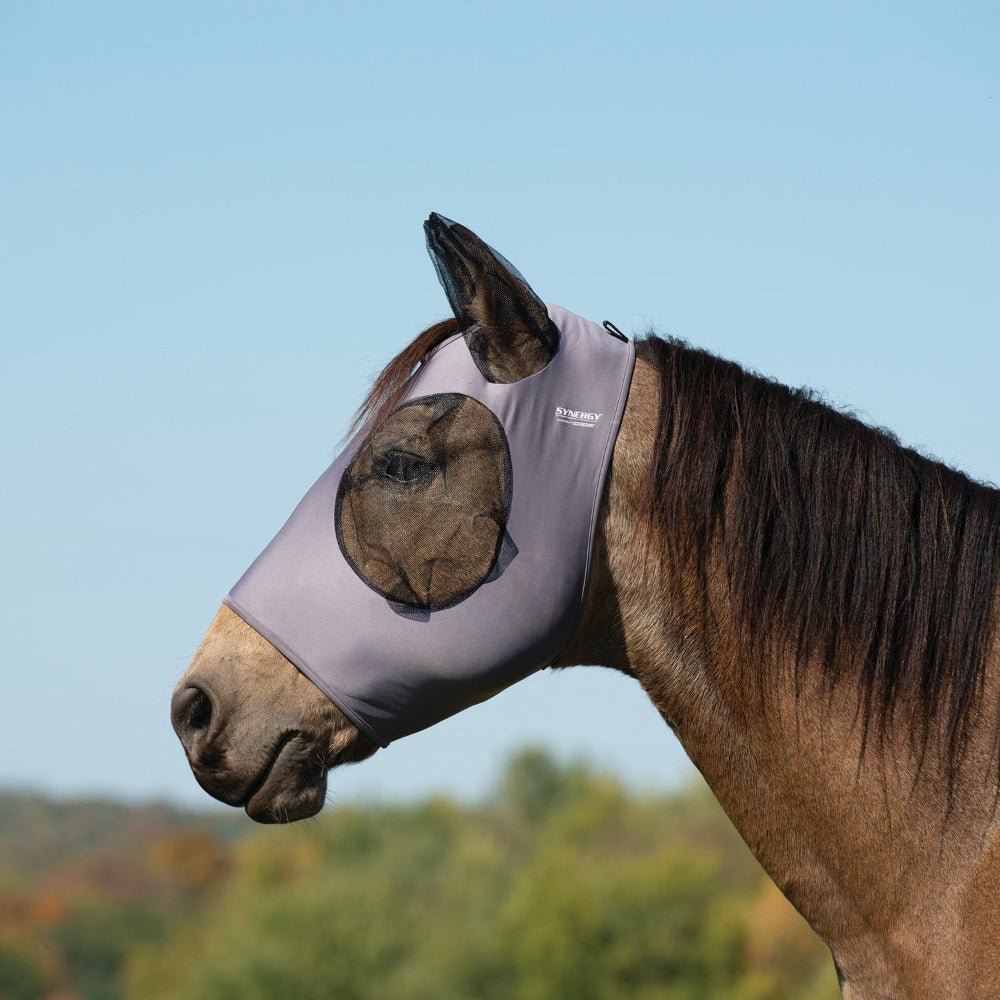 Horse wearing a fly mask against a clear blue sky