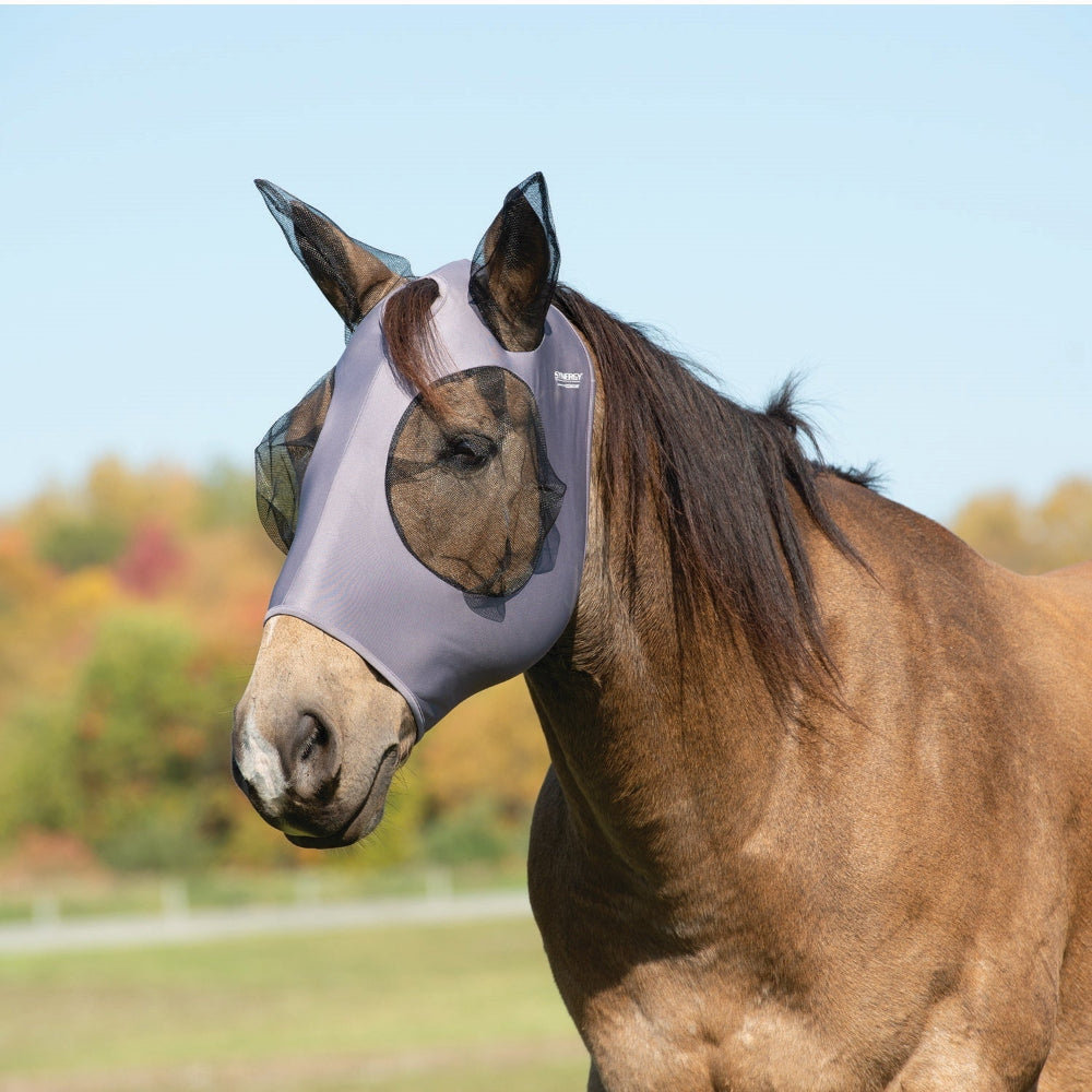 Horse wearing a fly mask with a blurred natural background