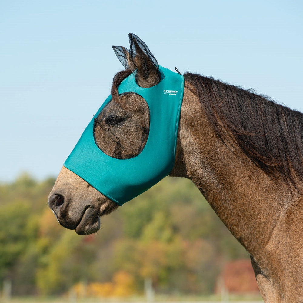 Horse wearing a teal fly mask in an outdoor setting