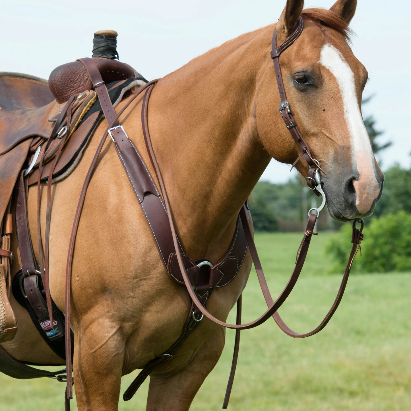 Weaver ProTack Oiled Russet Pulling Breast Collar