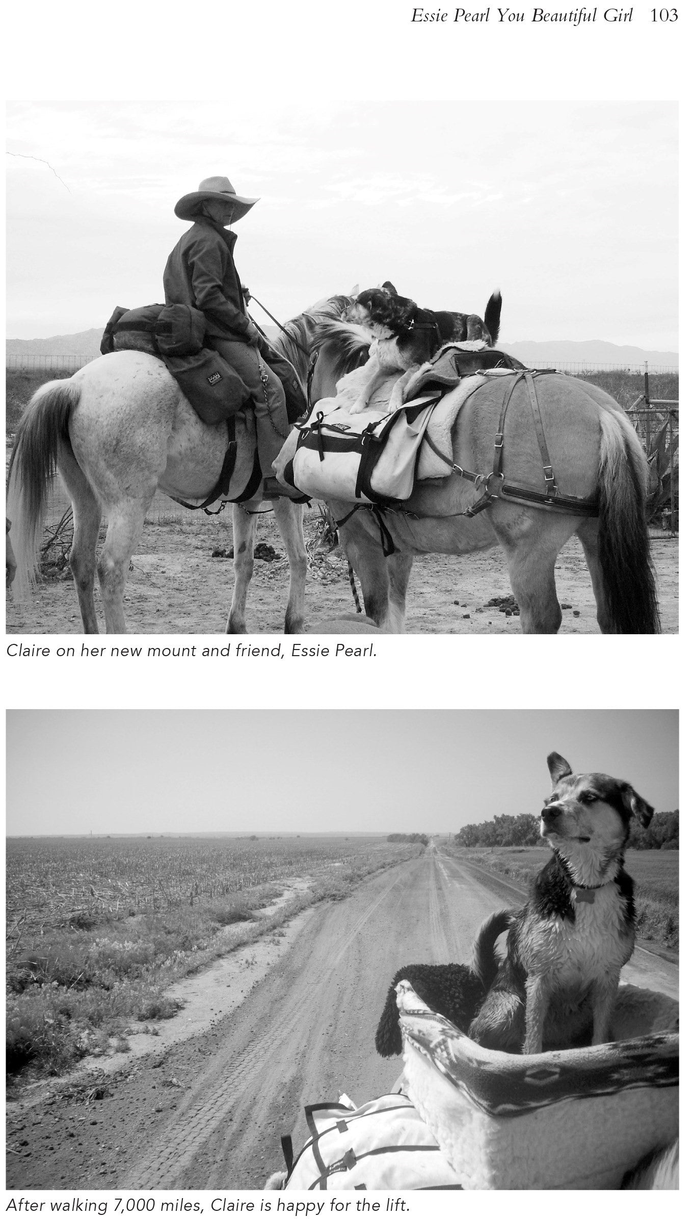 Lady Long Rider, Alone Across America on Horseback by Bernice Ende