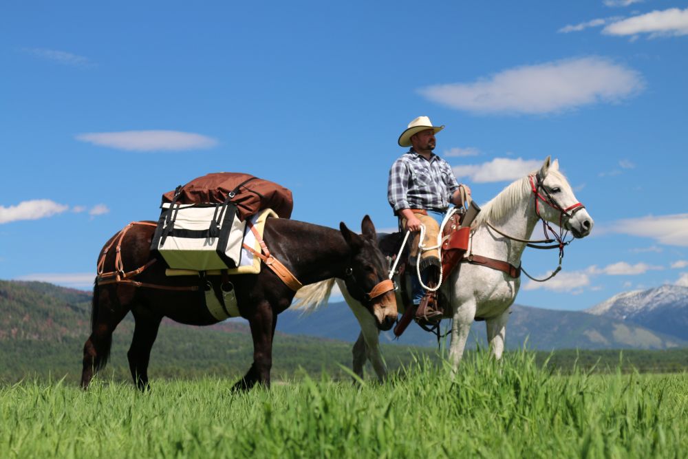 Man with horses using the Modified Decker Not-A-Knot Pack Saddle System in a lush green field, perfect for trail adventures.