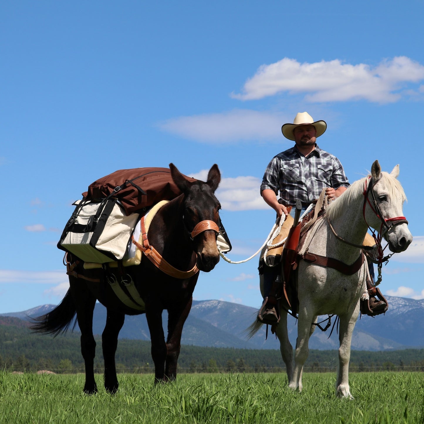 TrailMax Canvas Pack Panniers