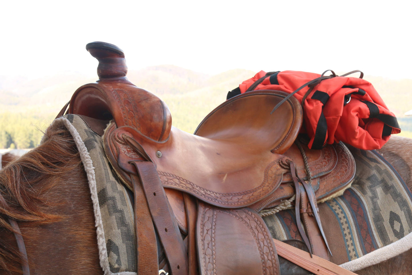 TrailMax Saddle Panniers (Multiple Colors)