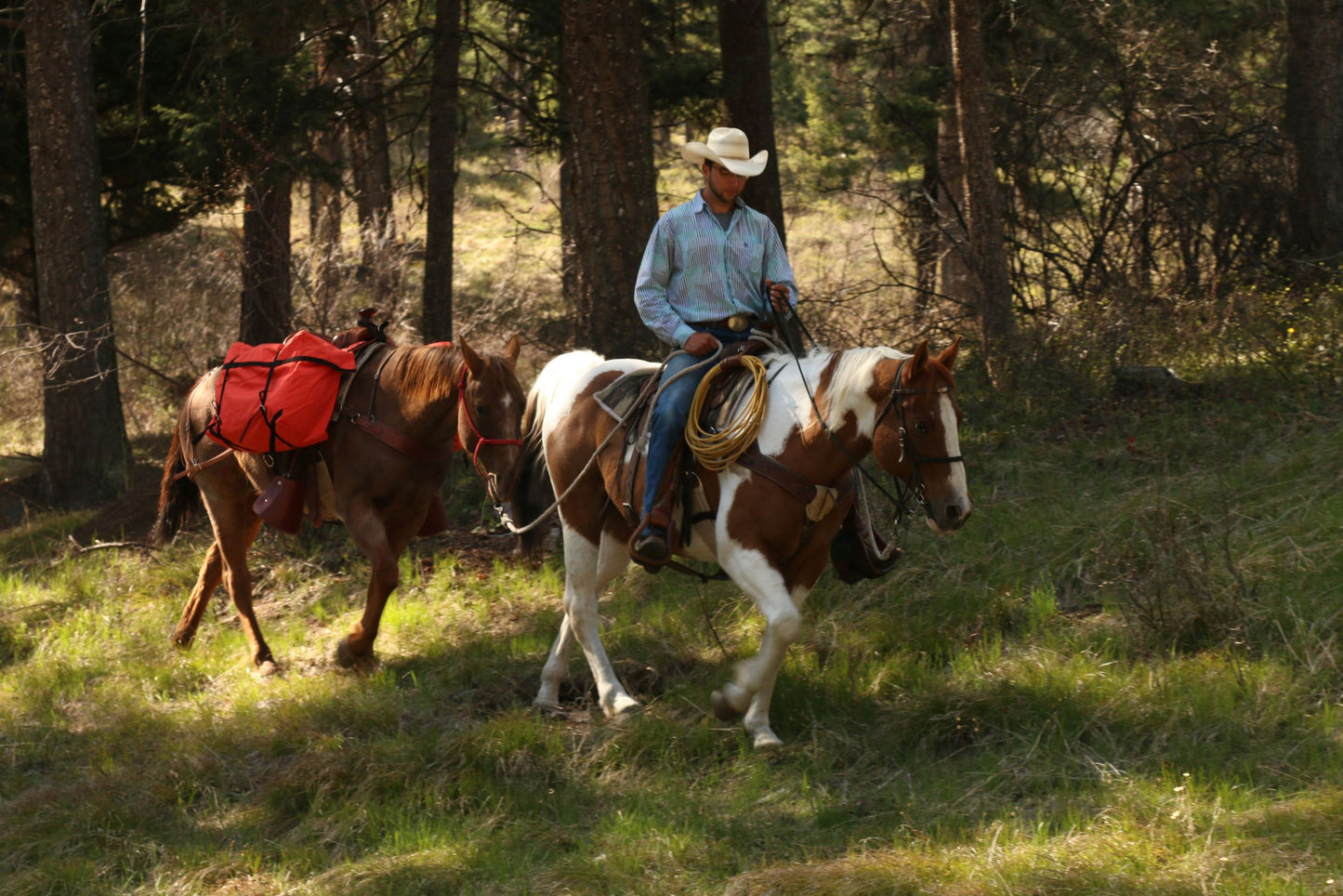 TrailMax Saddle Panniers (Multiple Colors)