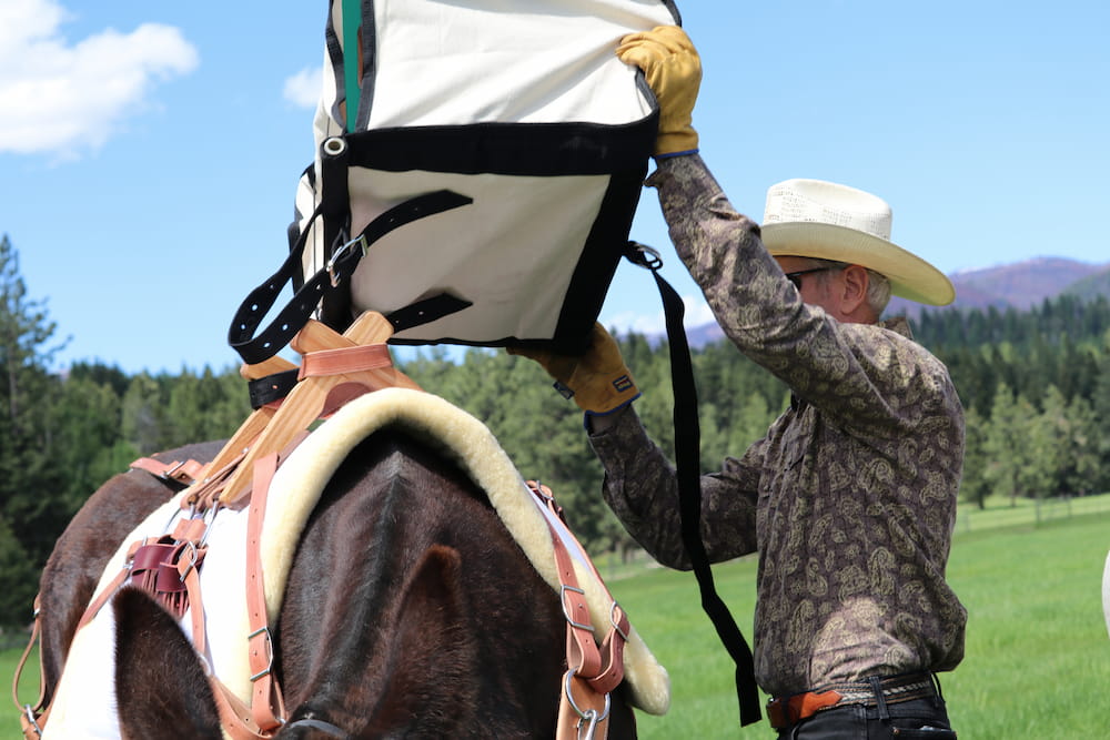 Person hanging a pannier on a Sawbuck pack saddle on a horse in an outdoor setting with trees and mountains in the background.