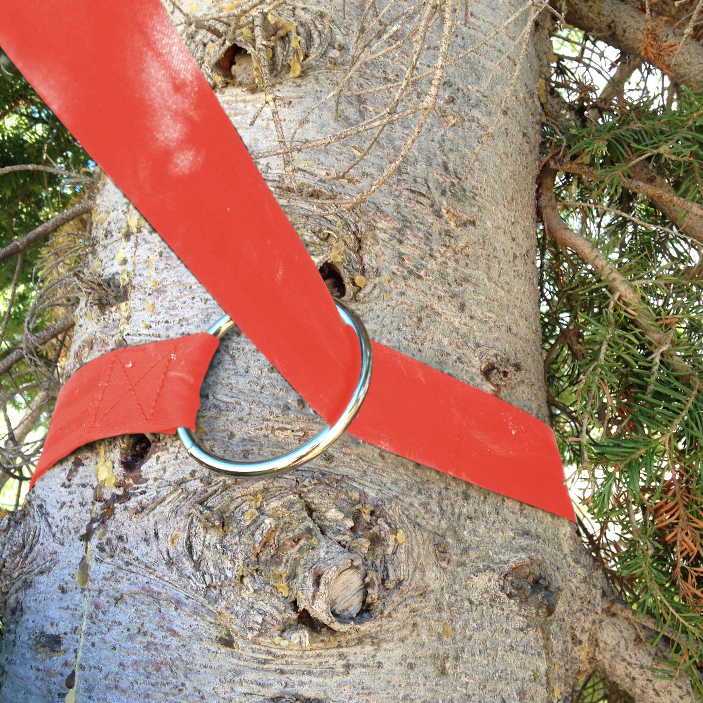 TrailMax Highline Tree Saver Straps (Pair)