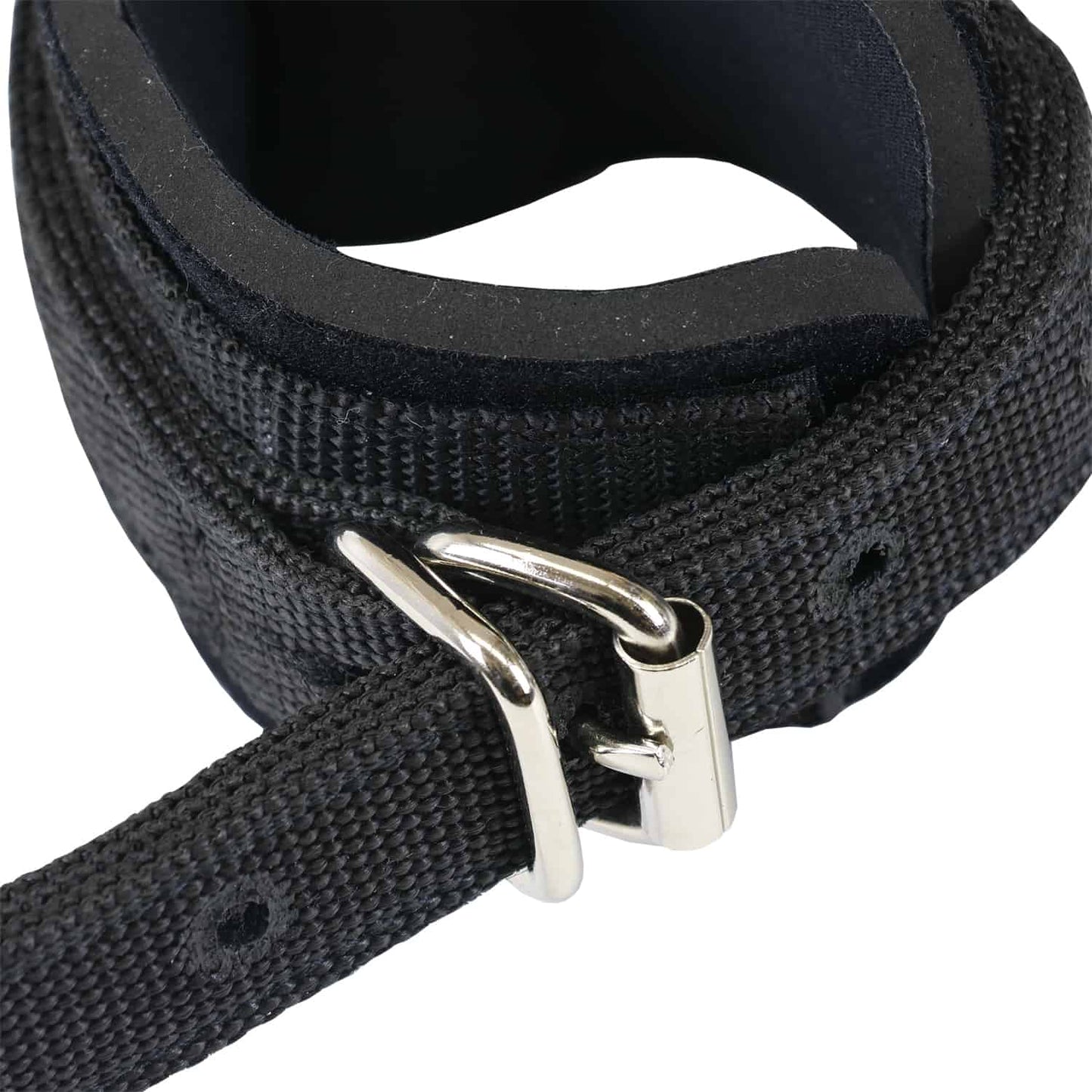 Closeup of neoprene horse hobble showing metal roller buckle and triple-ply webbing