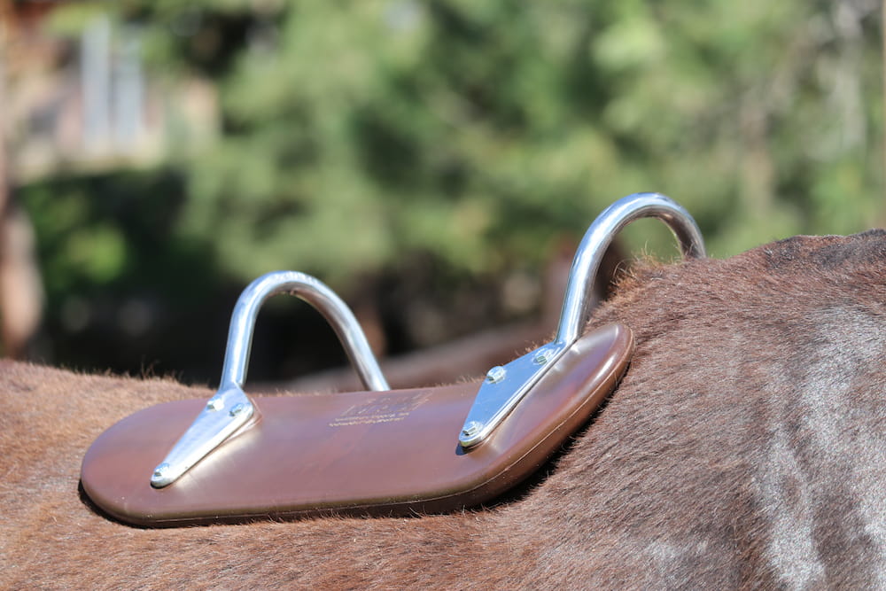 Polymer Decker pack saddle tree on mule with classic arches
