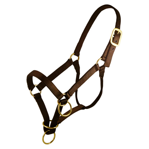 A brown nylon horse halter with a side pull