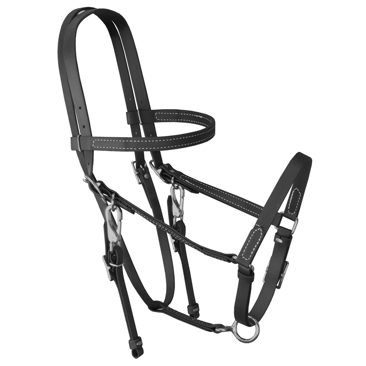 Biothane Beta Halter Bridle (Multiple Colors)