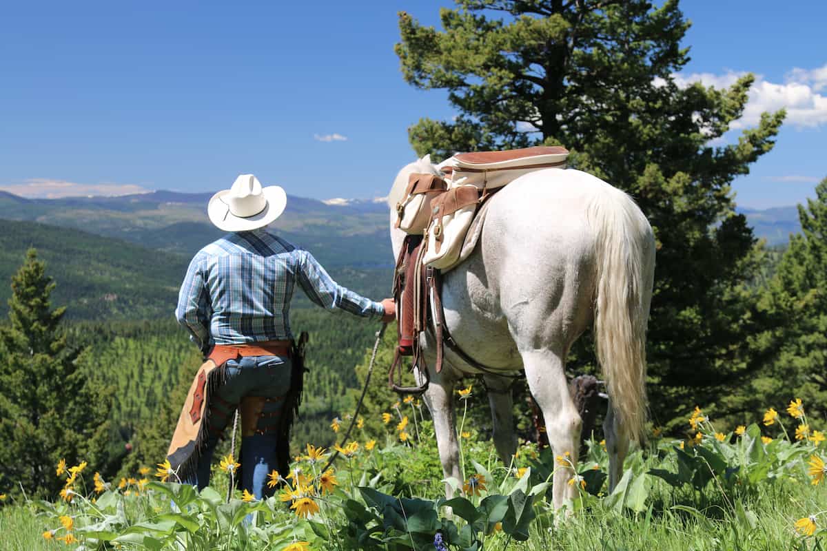 Man facing backwards, standing beside his white horse with white canvas saddlebags, looking down across the landscape