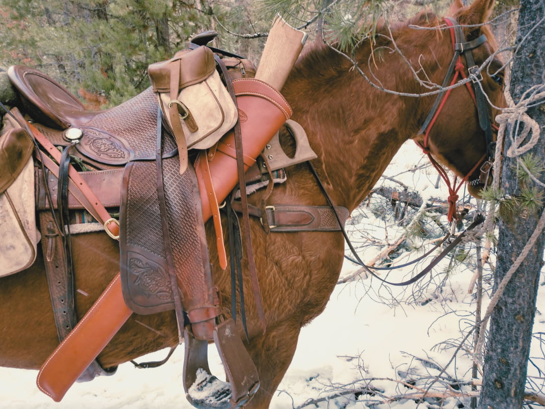 Brown horse with canvas saddlebags, leather carbine scabbard with rifle and pack saw hanging on saddle