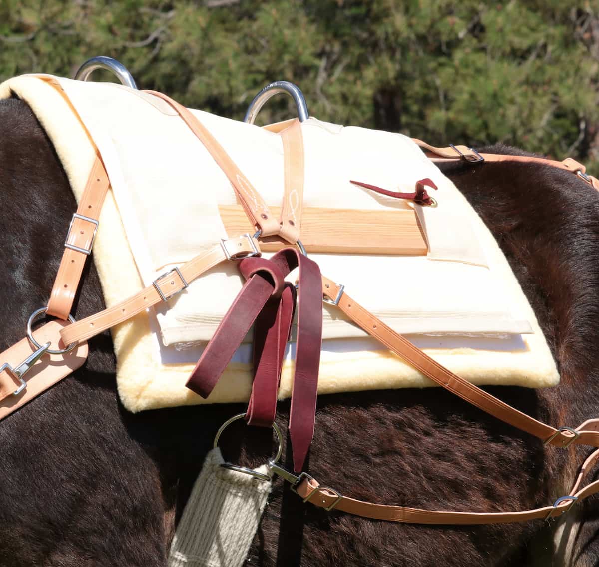 Decker pack saddle and canvas and fleece pack pad on mule's back