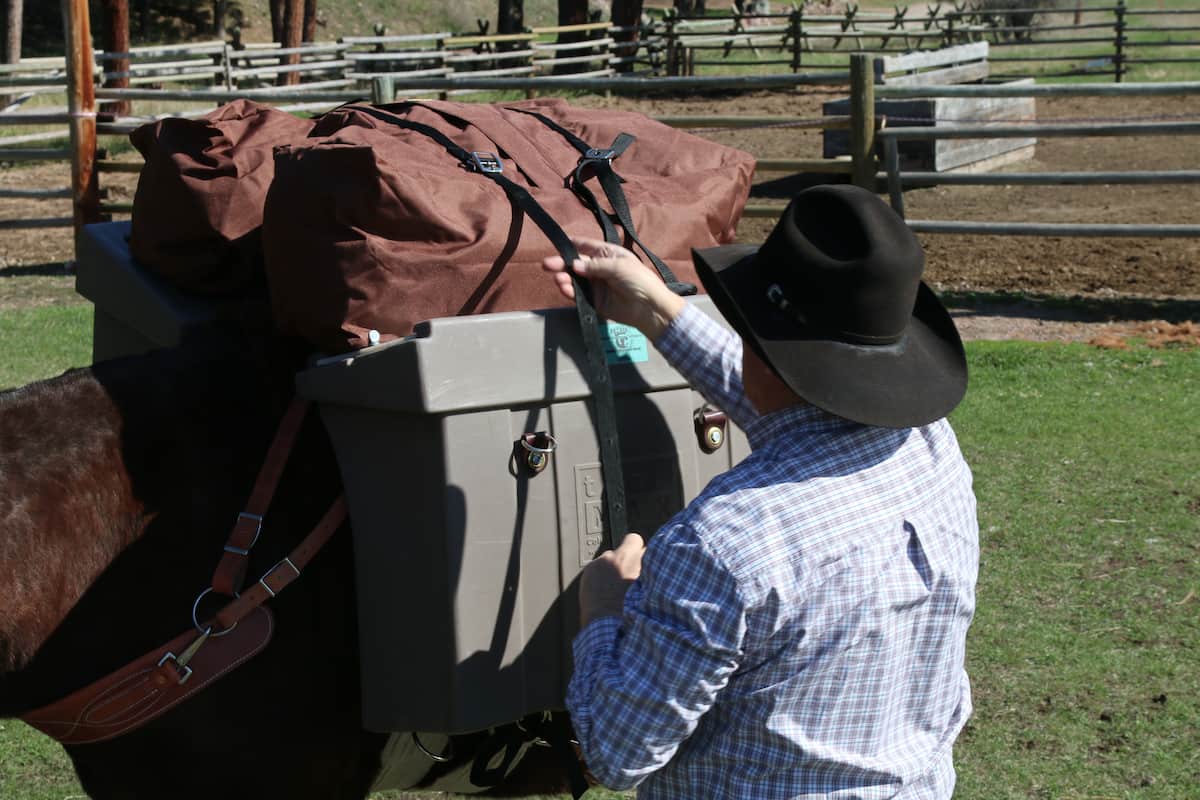 Man cinching down straps to attach a TrailMax H-style Top Pack on top of panniers on a mule