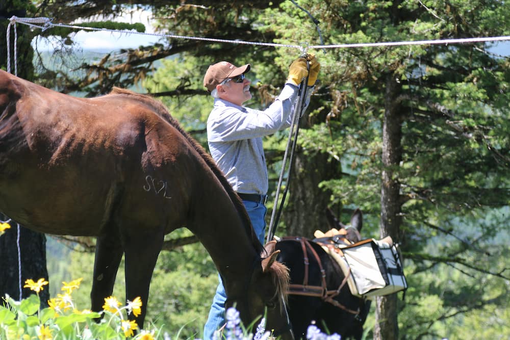Man attaching horse on lead rope to highline rope hanging above his head