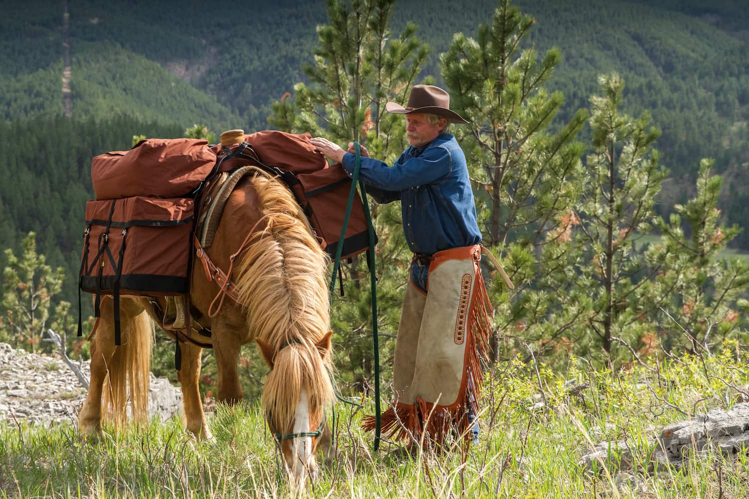 A man adjusting the Pack-A-Saddle System on his horse as it grazes.