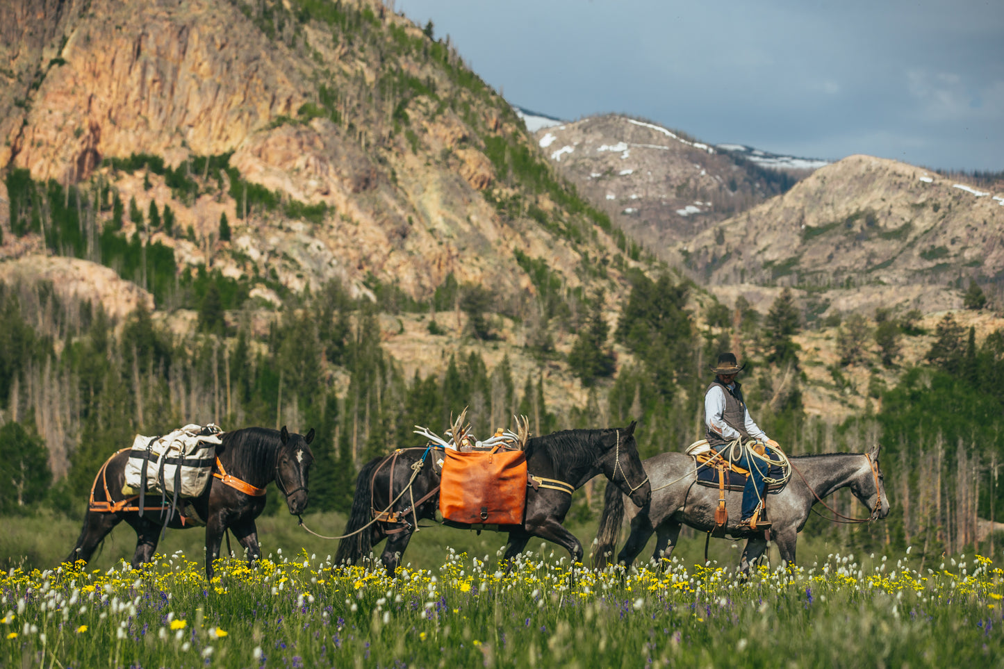 Iron Cloth Utah Pack Bags (pair)