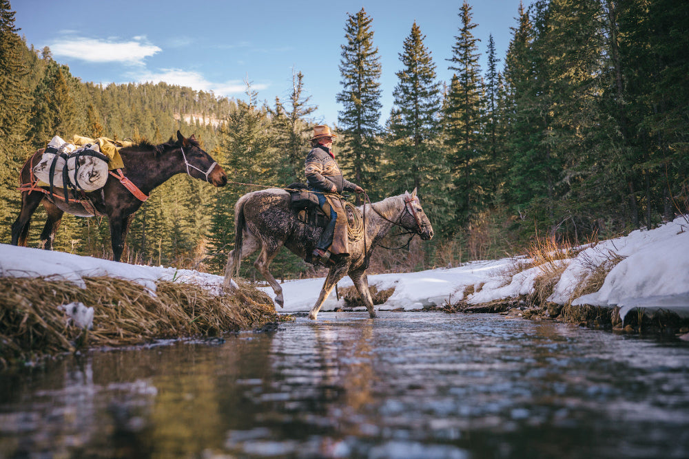 Man on horse leading pack mule through a river with trees and mountains in the background.