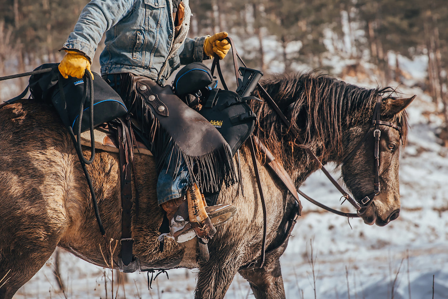 TrailMax Large Saddlebags (Multiple Colors)