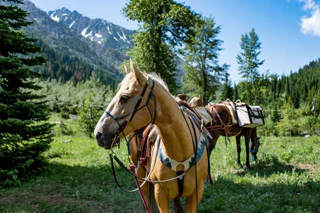 Outfitters Supply™ Horse Packing Equipment… We Use Our Gear