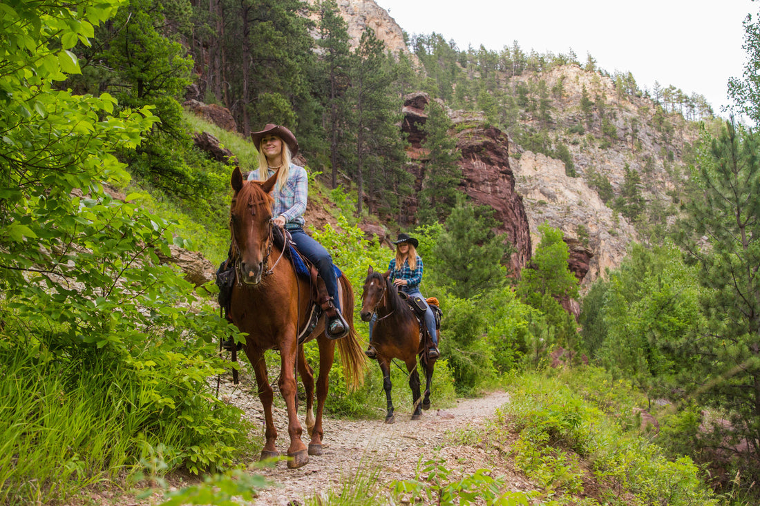 What Makes a Good Trail Horse?