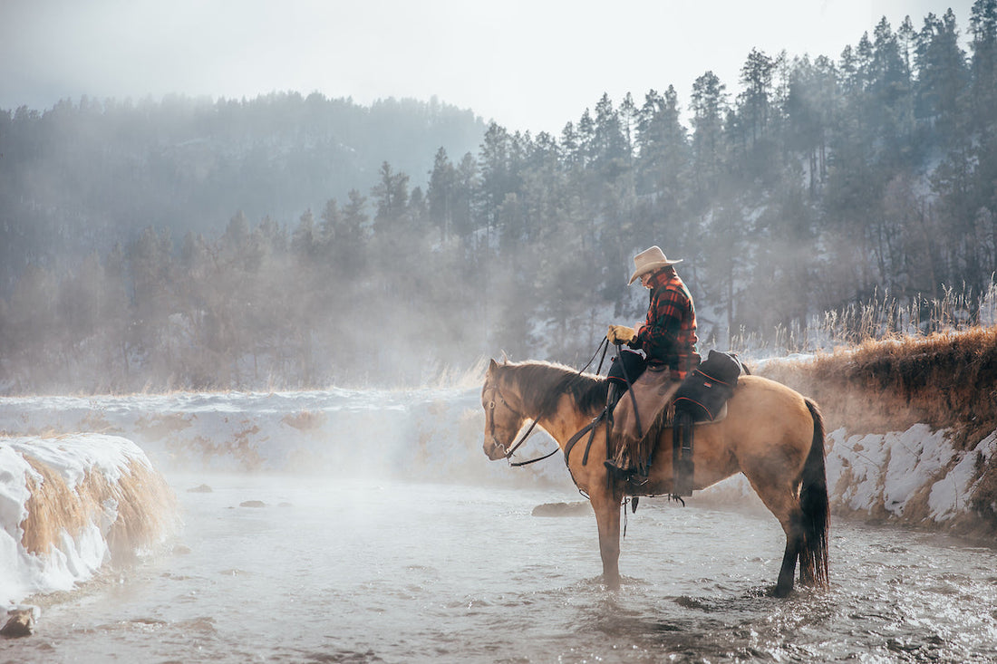 Overnighting with a saddle horse