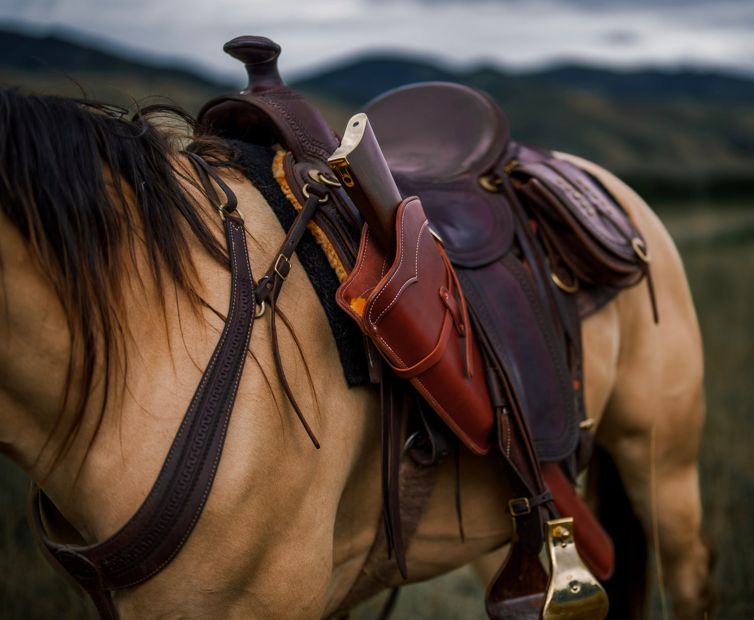 Rifle & Bow Scabbards