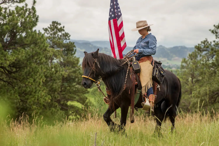 TrailMax 500 Series Saddlebags