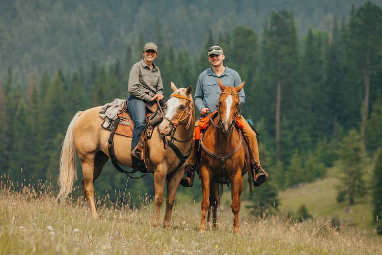 Horse/Mule Bridles & Headstalls