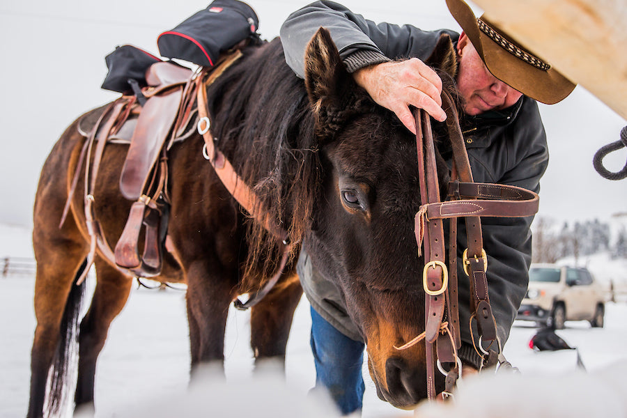 Bridles & Reins