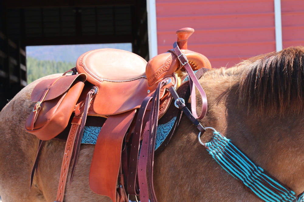 Trail Saddles