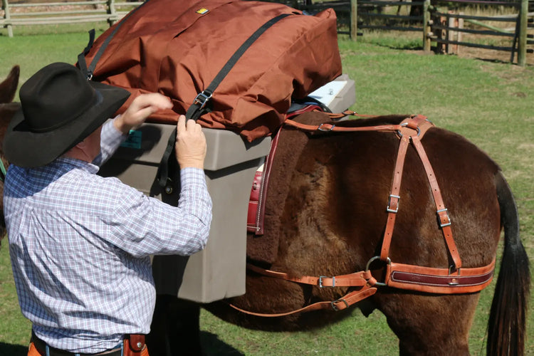 Man attaching a top pack over the top of panniers on a mule
