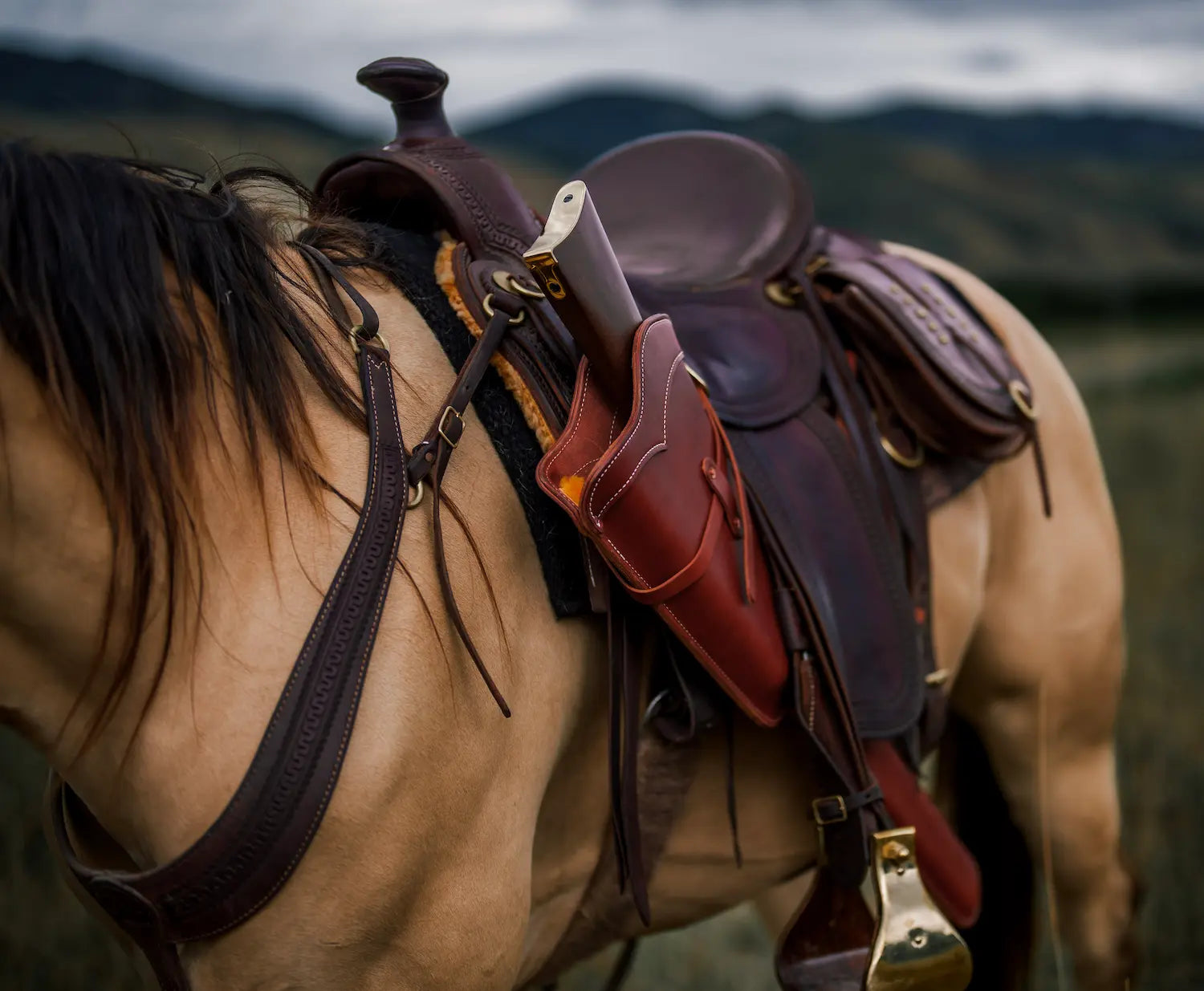 Leather rifle scabbard hanging on western saddle on buckskin horse