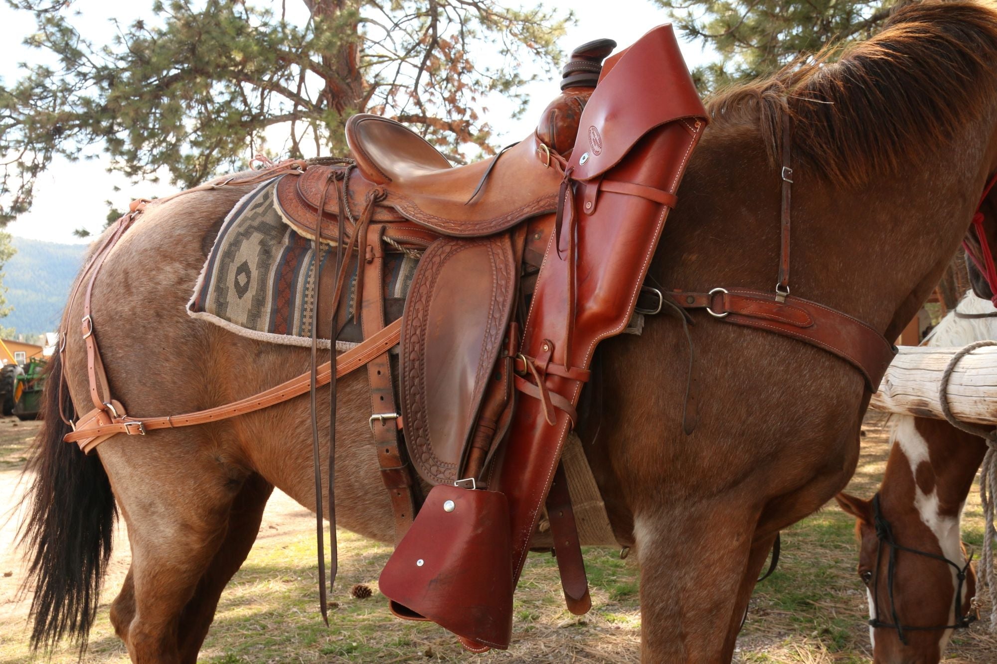 Mule and Horse Western Trail Saddle Accessories – Outfitters Supply