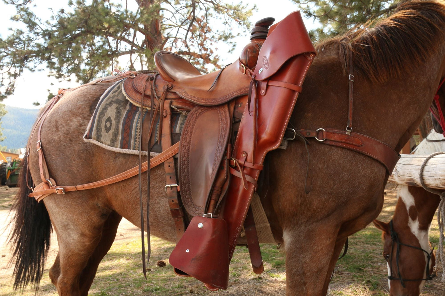 Saddle Accessories