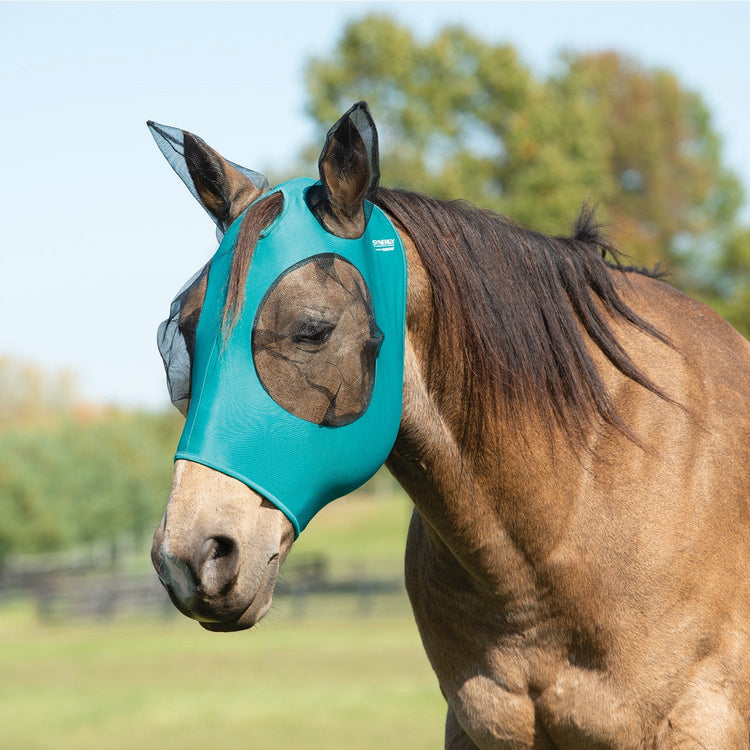 Grooming Supplies & Fly Care