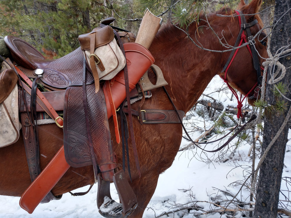 Hunting & Camping