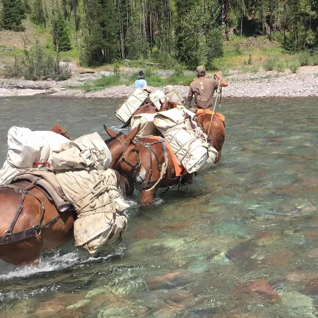 Pack Saddles